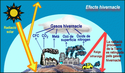 Videoteca: L'efecte hivernacle